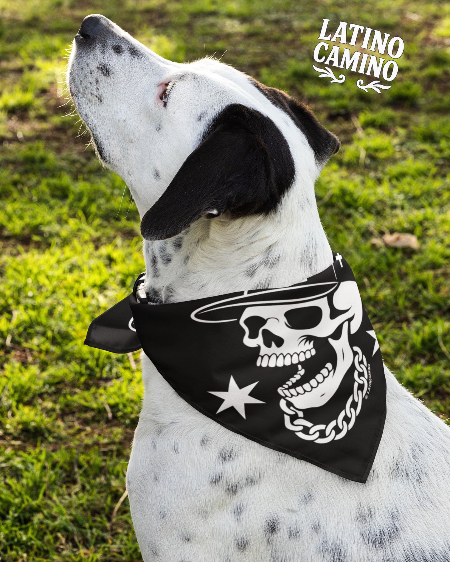 LA City Skull Large Bandana